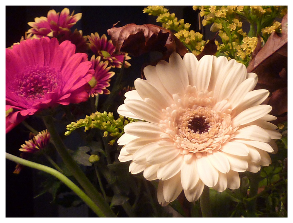 Es kündigt sich der herbst  an - aber noch bringt uns die natur wunderschöne blumen - ein schönes WE