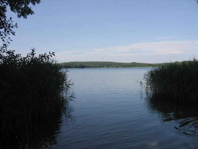 Es lächelt der See