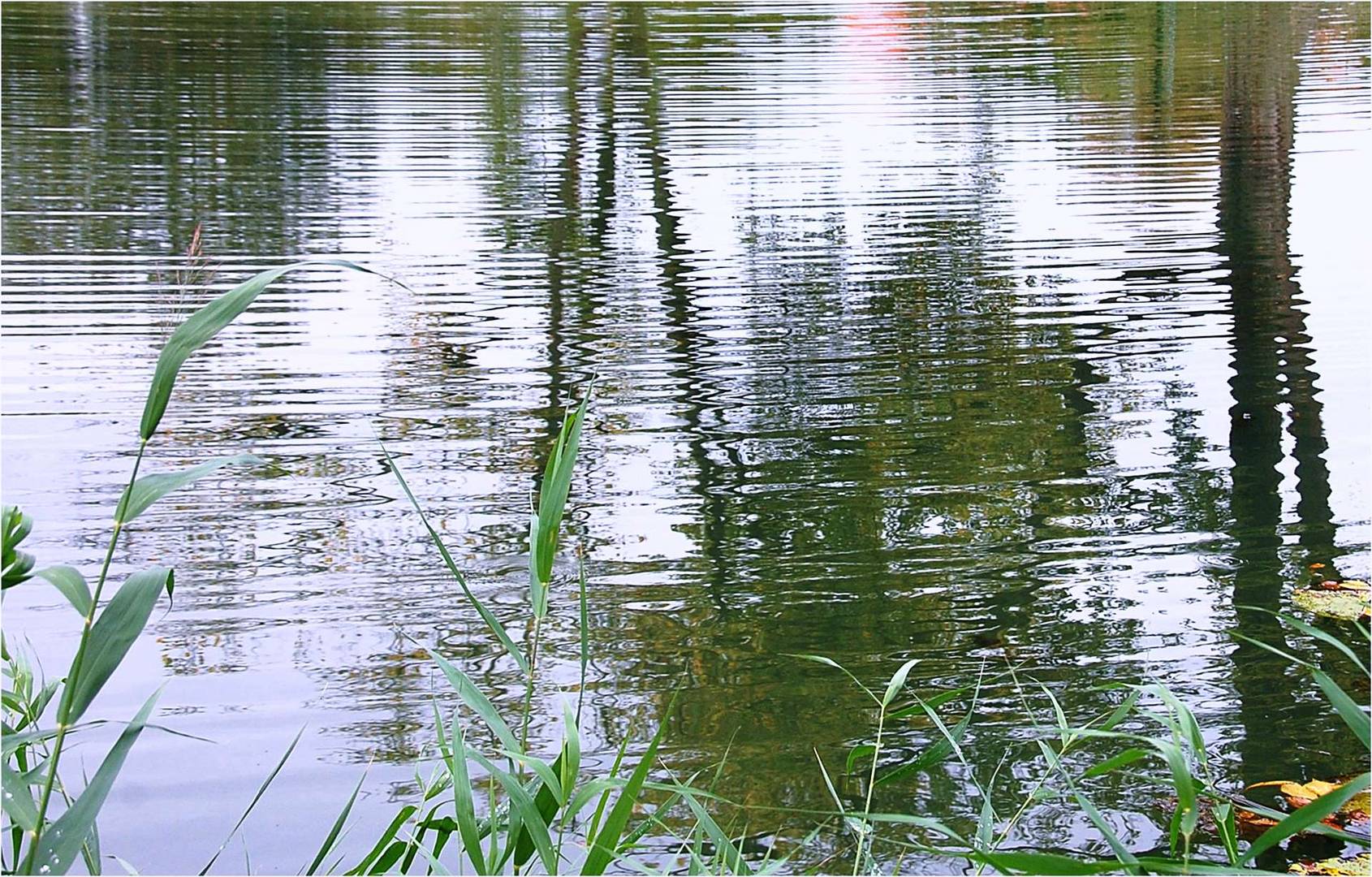 es lächelt der See -