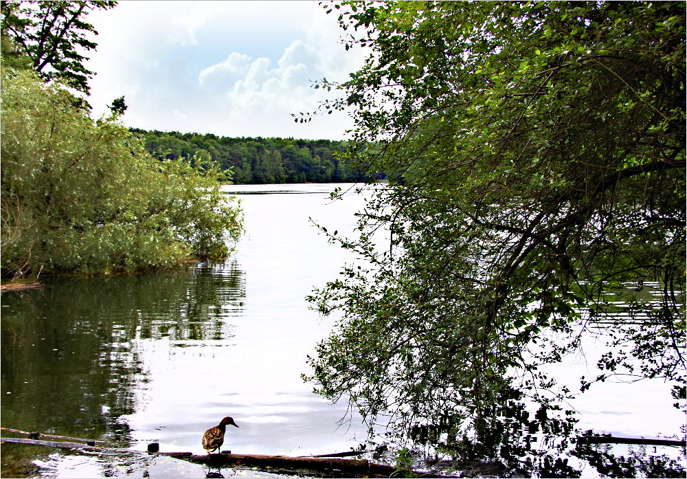 es lächelt der See, er ladet zum Bade ...