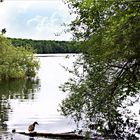 es lächelt der See, er ladet zum Bade ...