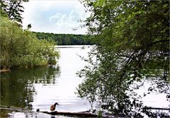 es lächelt der See, er ladet zum Bade ...