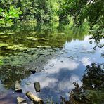 Es lächelt der See, er ladet zum Bade