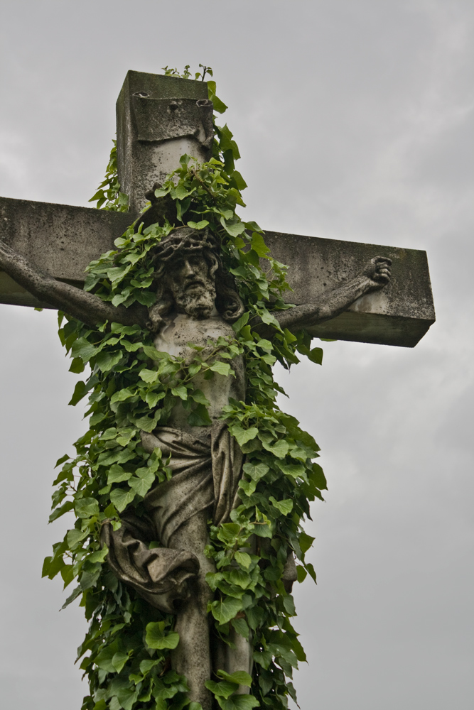 Es lebe der Zentralfriedhof