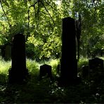 Es lebe der Zentralfriedhof