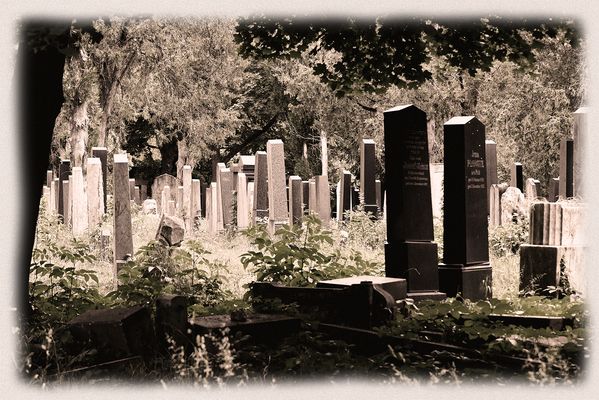 "Es lebe der Zentralfriedhof"
