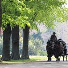 Es lebe der Zentralfriedhof