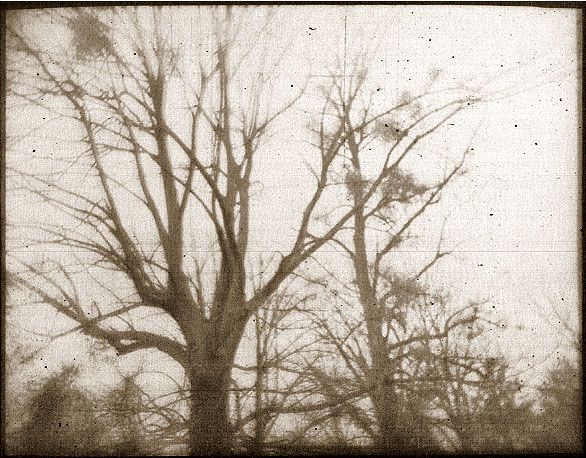 es lebe der zentralfriedhof II