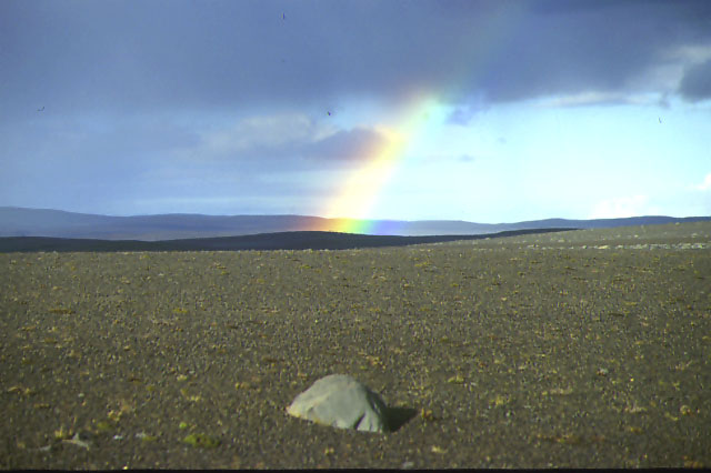 Es leuchtet ein Regenbogen in Einsamkeit