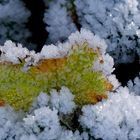 Es leuchtete in der Sonne