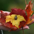 Es liegt auf der Hand