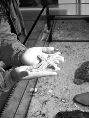 Es liegt doch auf der Hand