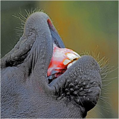 ...es liegt etwas in der Luft...