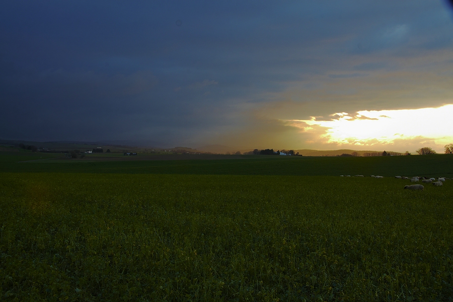 Es liegt Schnee in der Luft