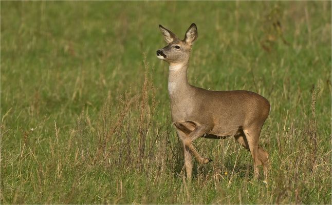 Es liegt was in der Luft ...