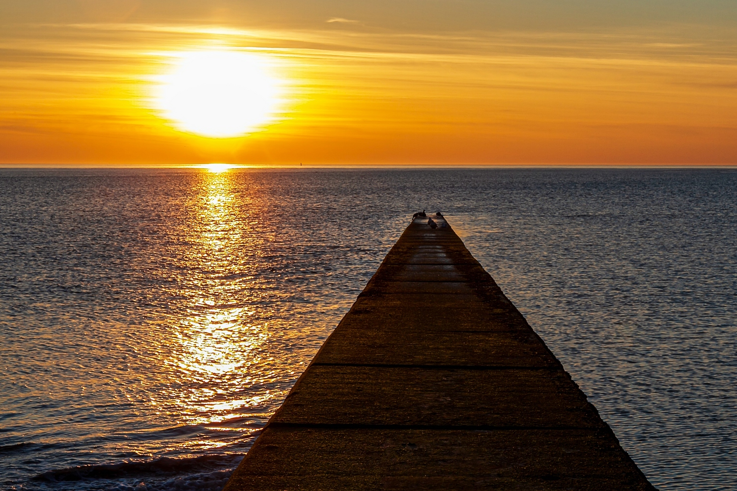 Es löscht das Meer die Sonne aus