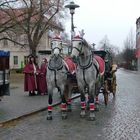 Es müsssen nicht immer Elche oder Rentiere sein!