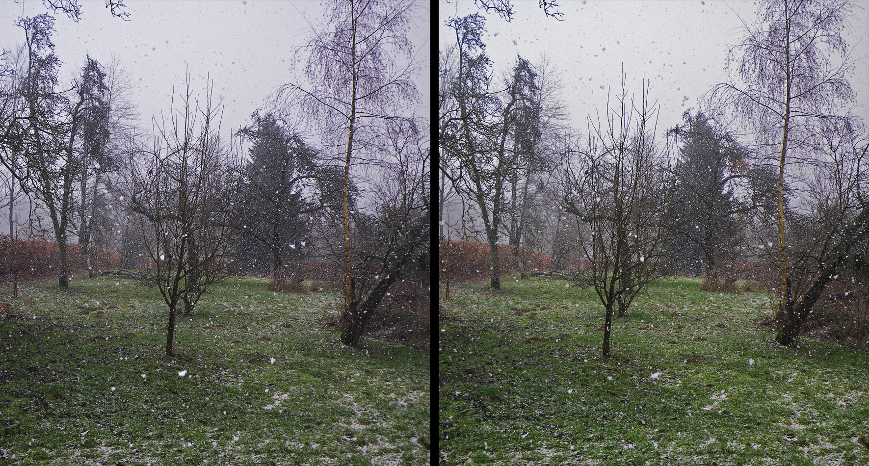 ...es muss doch Frühling werden!