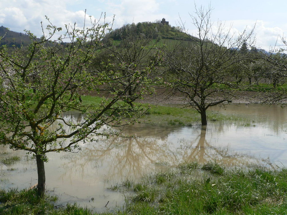 ...es muss doch Frühling werden von poerr39 