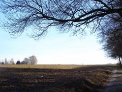 Es muss doch Frühling werden