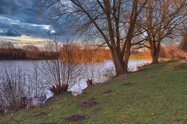 Es muss nicht immer.....