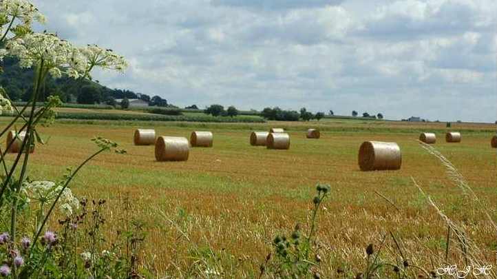 Es naht der Herbst,