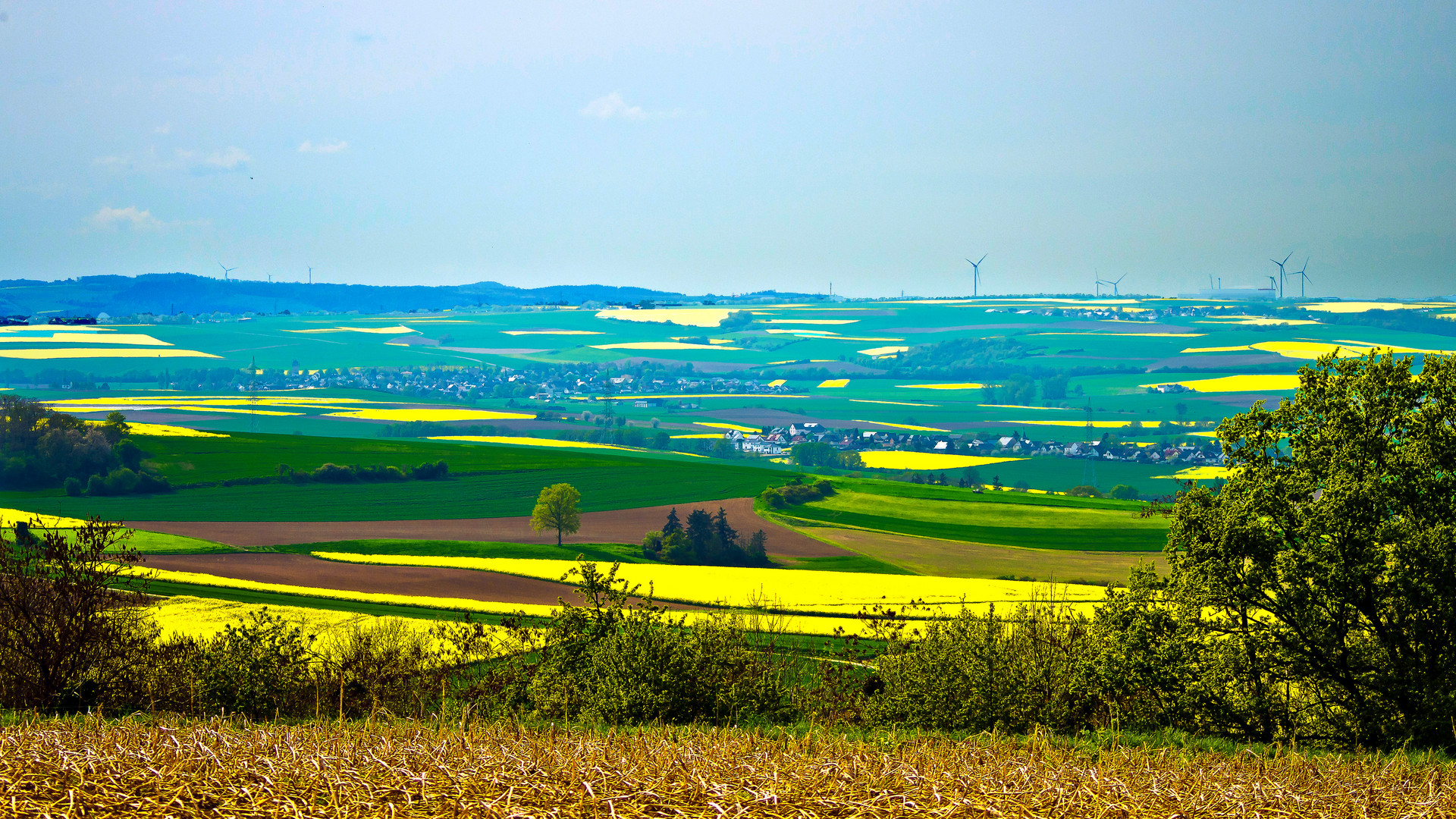 Es rapselt in der Eifel...