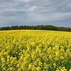 Es rapst gewaltig beim Pälzer vor der Haustür.