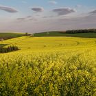 Es rapst im Pfälzer Bergland