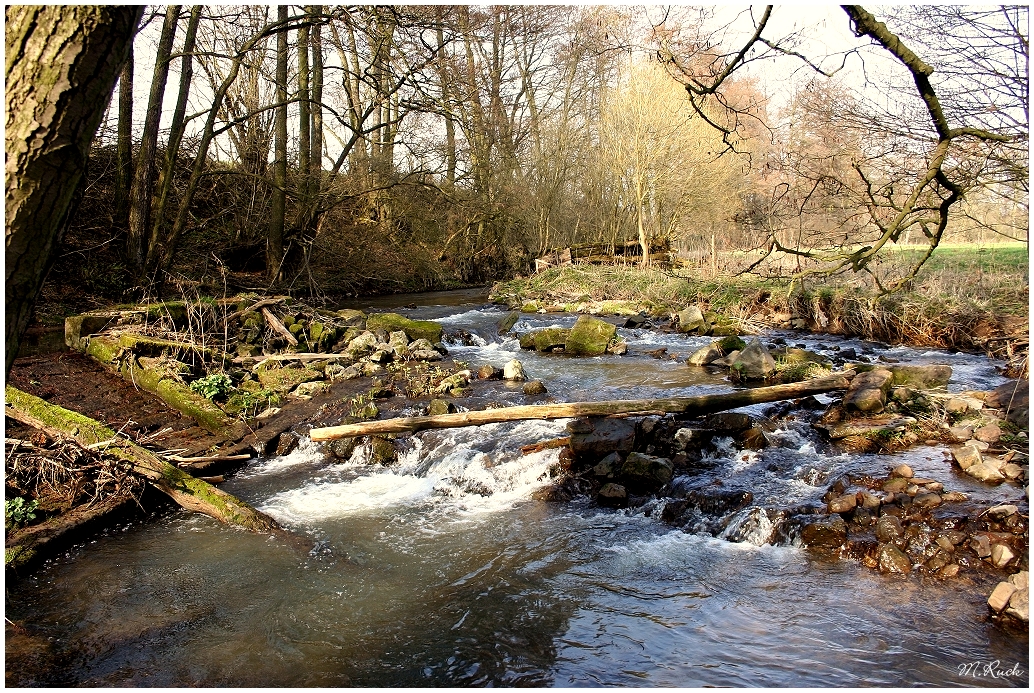 Es rauscht der Bach durch den Wiesengrund ,