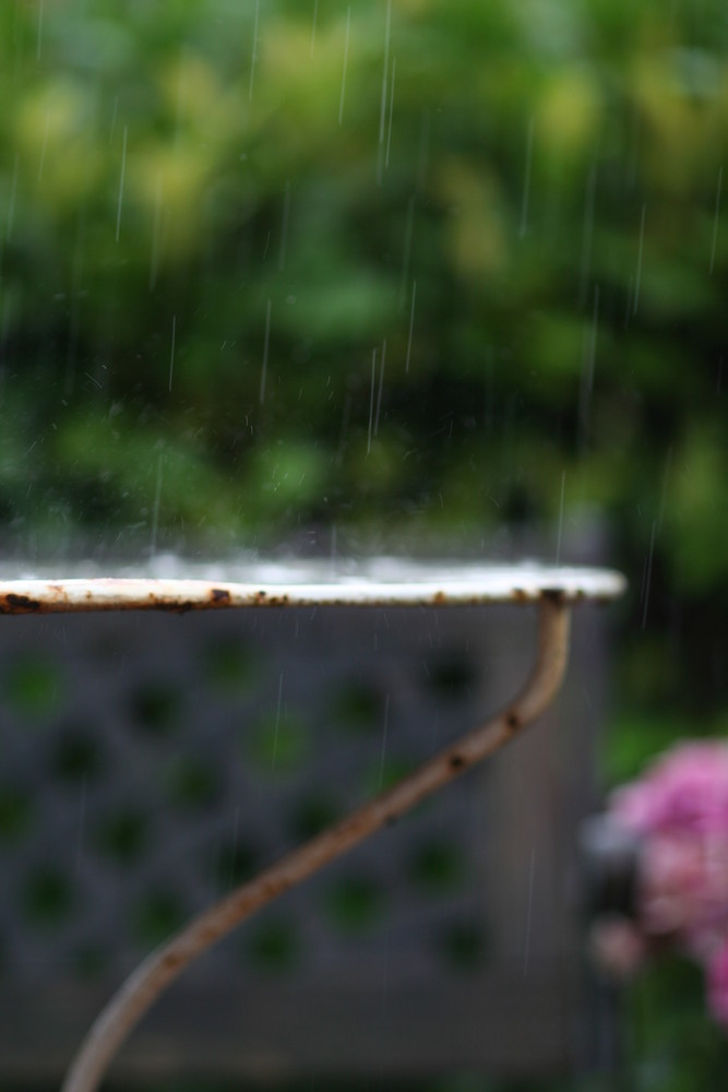 Es regnet auch im Garten meiner Mutter