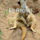 Es regnet…