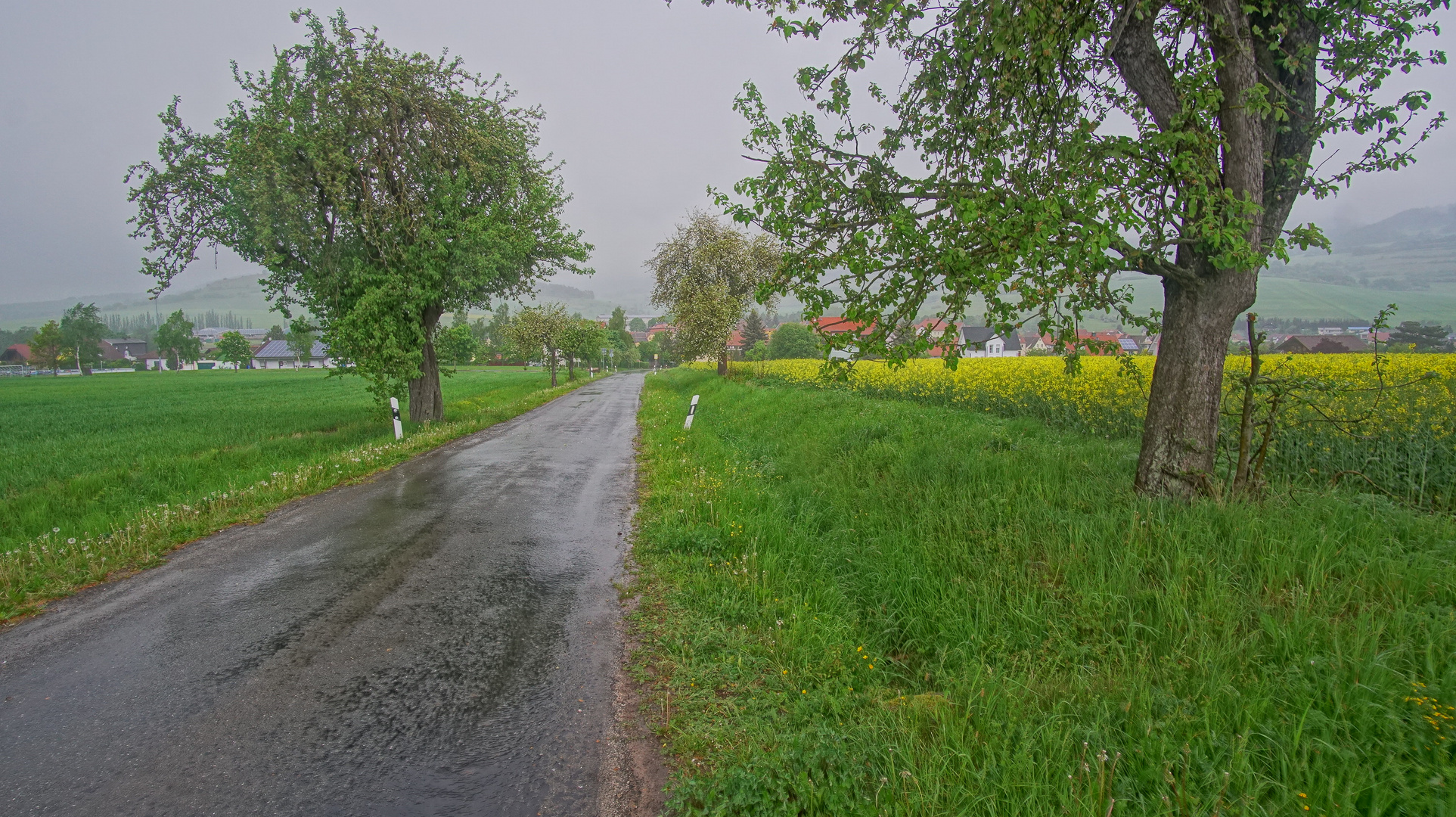 es regnet (está lloviendo)