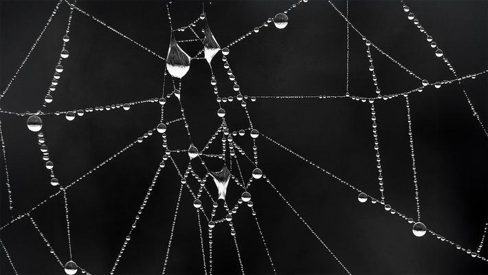 ...es regnet mal wieder...