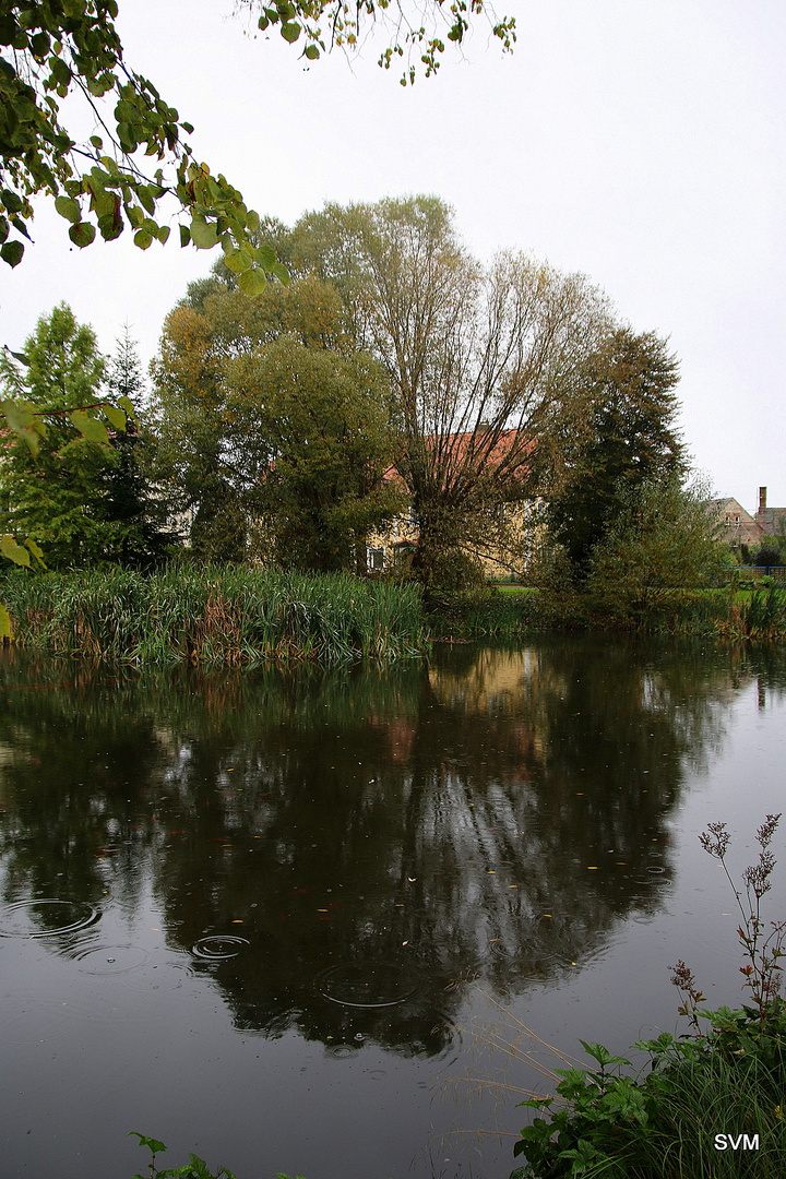  es regnet schon seit einer Woche Foto Bild  wasser 