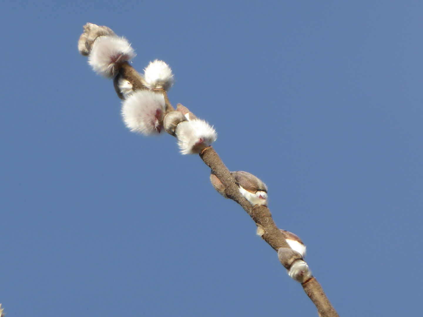 Es riecht nach Frühling