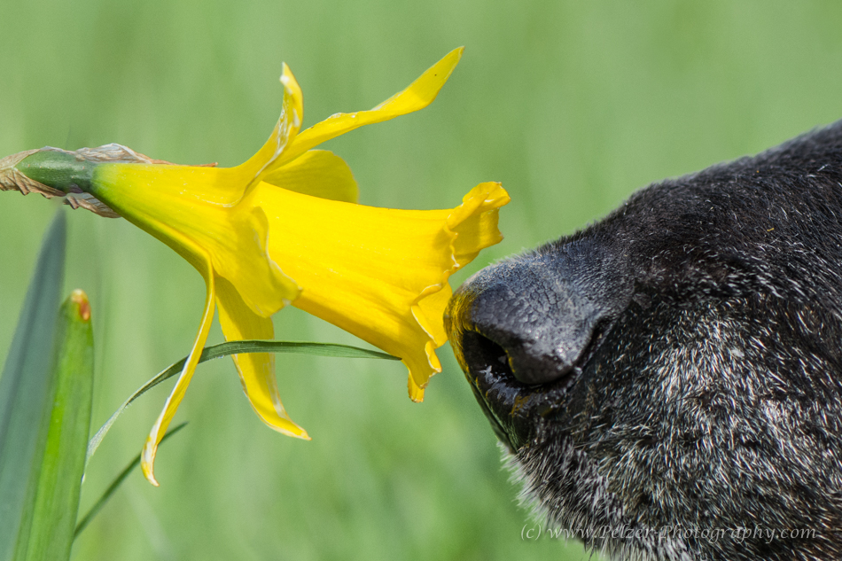 Es riecht nach Frühling!