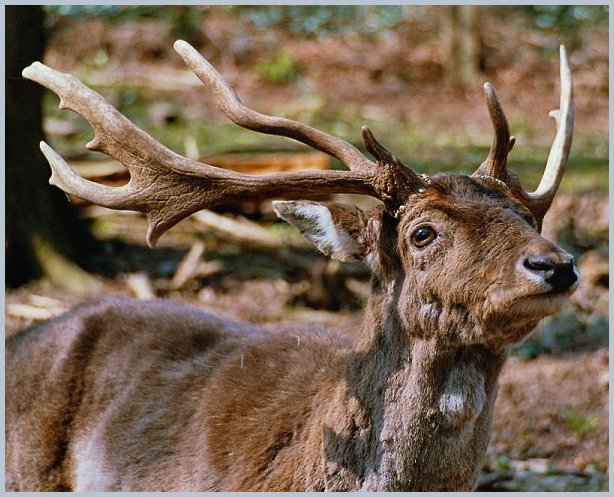 Es riecht nach Sommer!!