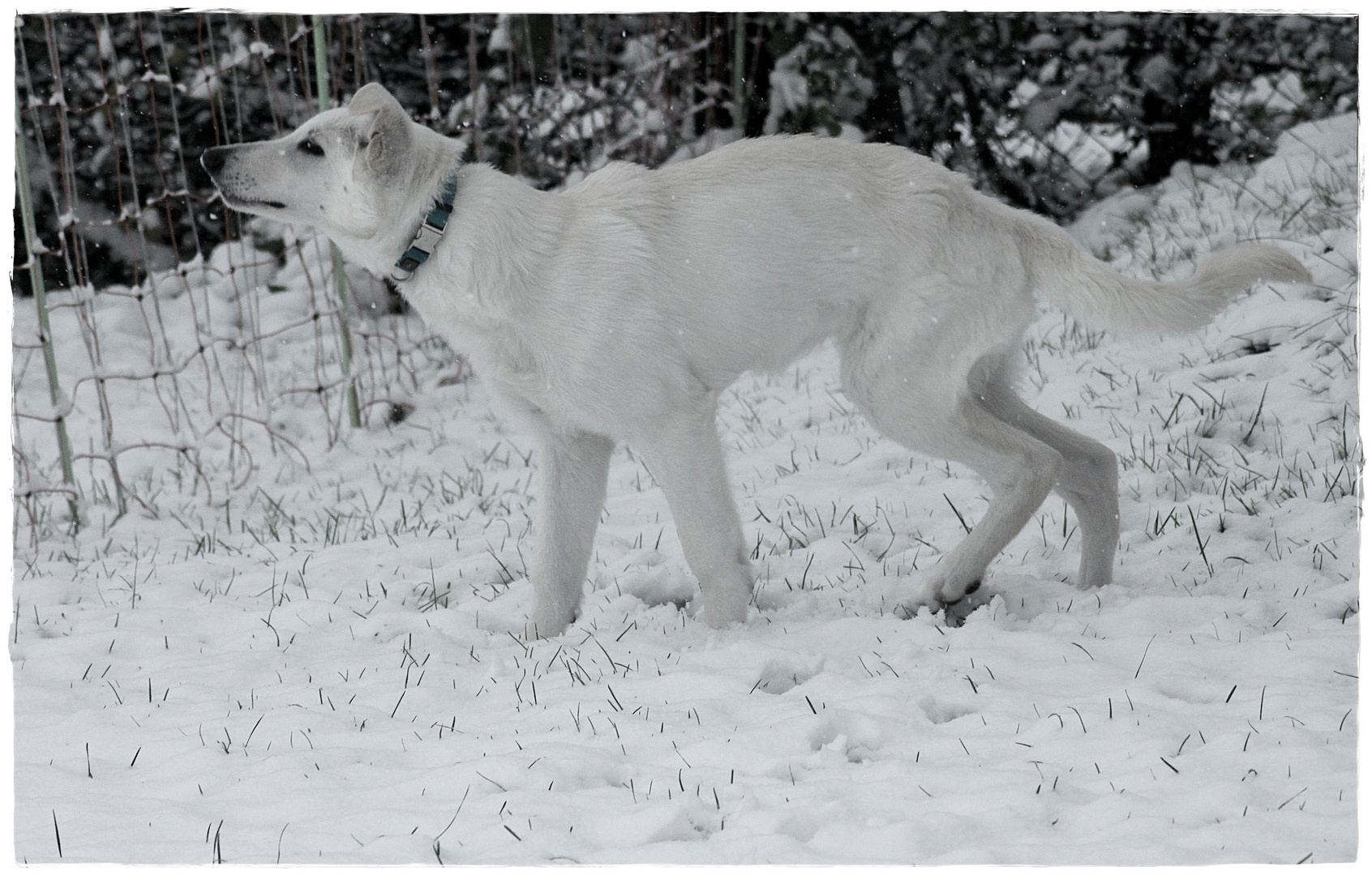 Es riecht nach Winter