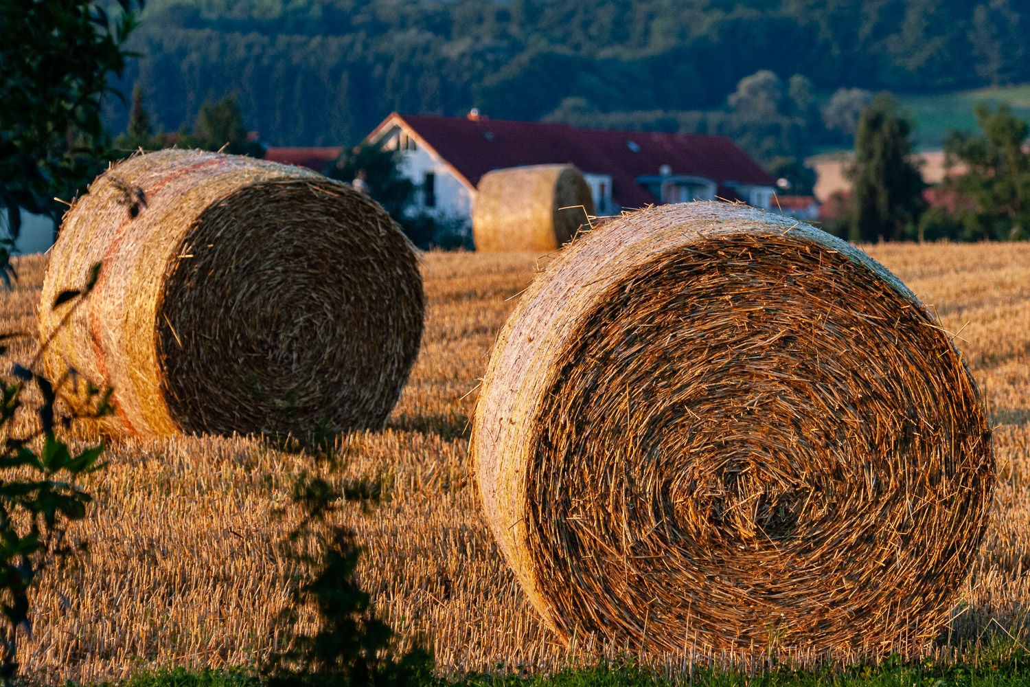 Es rollt wieder ...