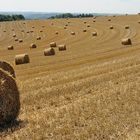 Es rollt wieder auf den Feldern, die Getreideernte in der Pfalz...