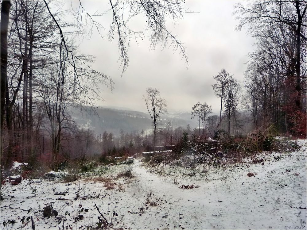 Es sah nach Schnee aus ...