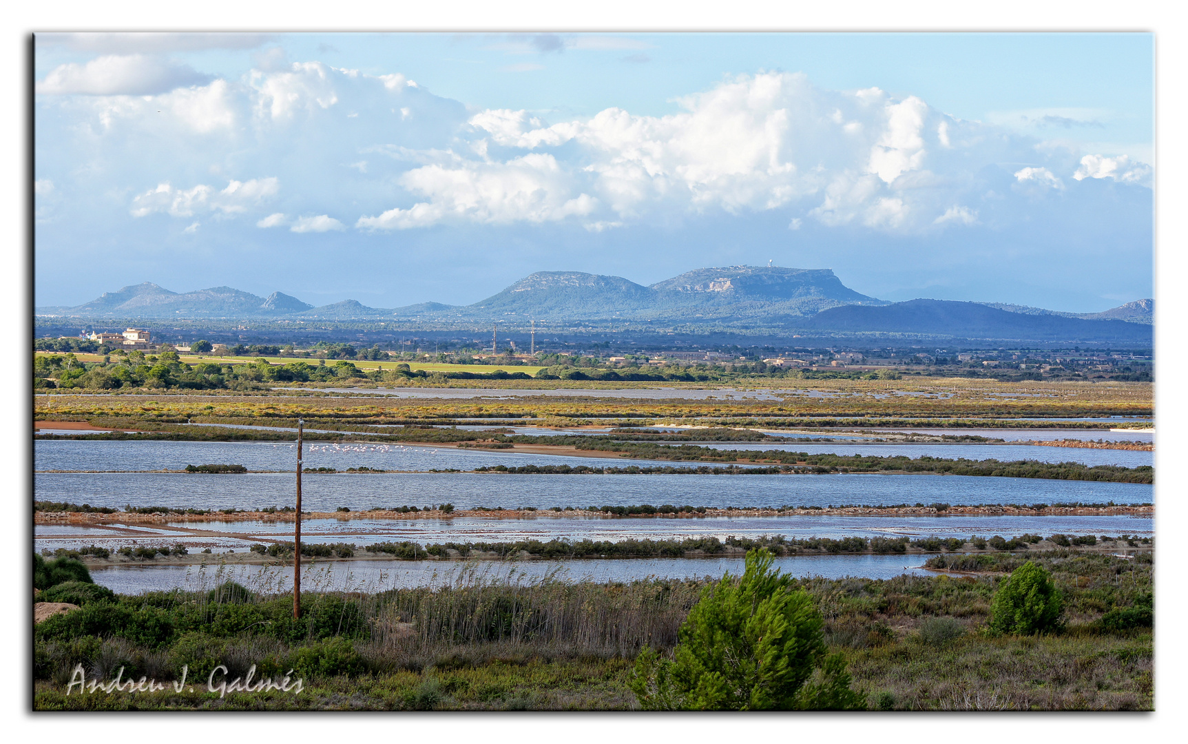 Es Salobrar de Campos -MALLORCA-