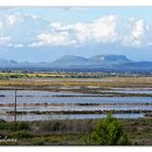 Es Salobrar de Campos -MALLORCA-