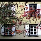 Es schaut der Herbst zum Fenster rein...