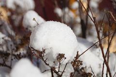 es scheint sogar ganze Schneebälle zu schneien