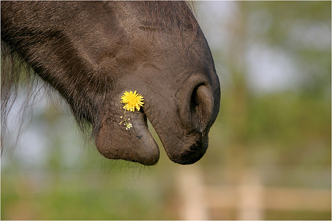 Es schmeckt))