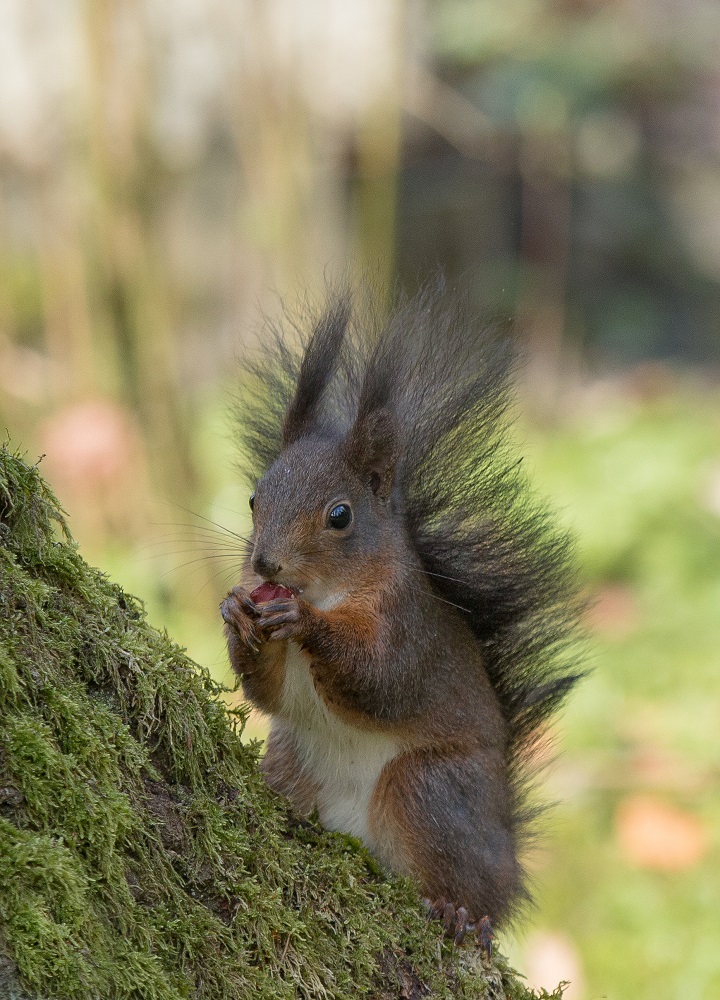 es schmeckt