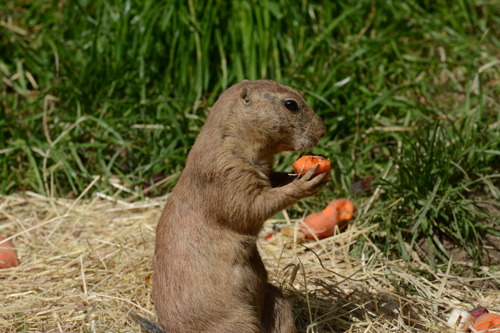 es schmeckt