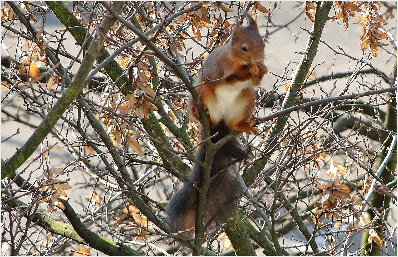 Es schmeckt ihm ...